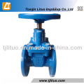 DIN Standard Ductile Iron Gate Valve 3 Inch